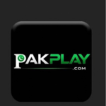 PAKPLAY Game